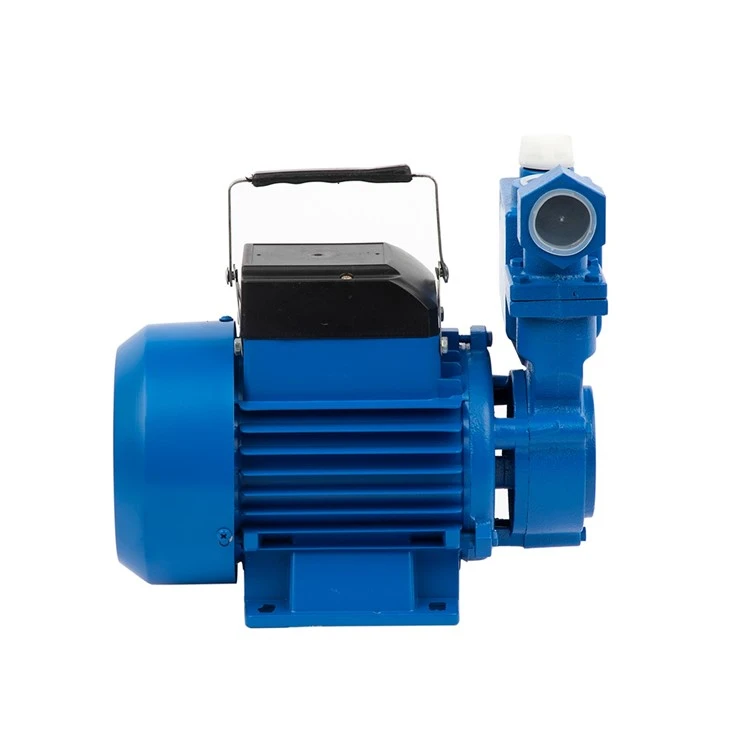Izdb-65 0.75kw 1HP Rise 50m General Electric Brass Impeller Self-Priming Peripheral Water Pump best Izdb-65 0.75kw 1HP Rise 50m General Electric Brass Impeller Self-Priming Peripheral Water Pump best